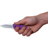 Нож KERSHAW 1620PUR SCALLION PURPLE K1620PUR
